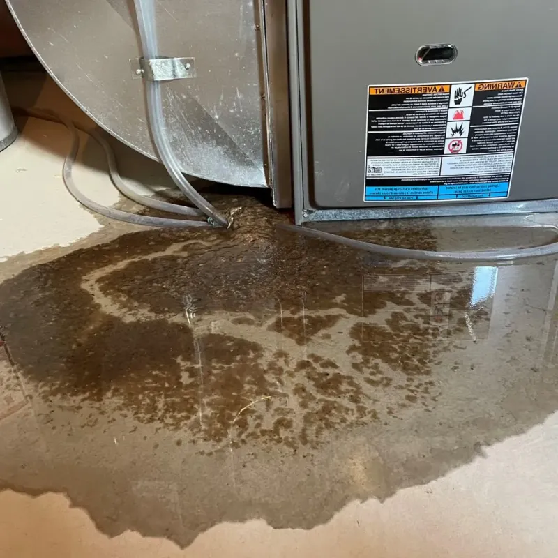 Pipe Burst and Leak Restoration in Newberry County, SC