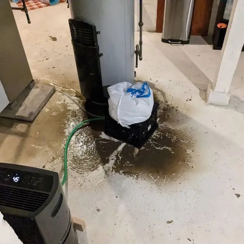 Sewage Backup Cleanup Service in Newberry County, SC